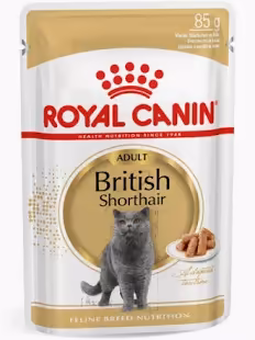 BRITISH SHORTHAIR 85 GM