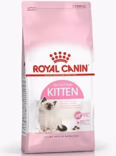 FHN KITTEN 36 2K